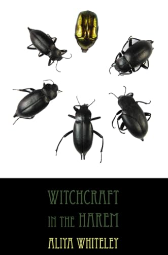 Witchcraft in the Harem book cover