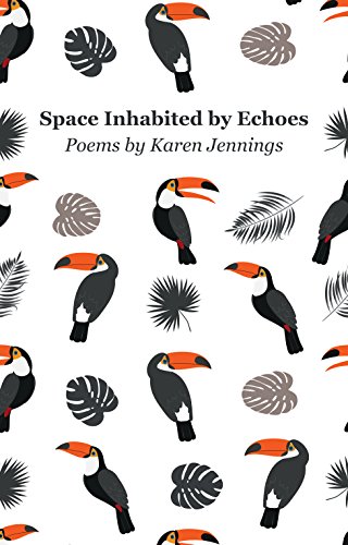 Space Inhabited by Echoes book cover