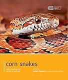Corn Snakes Understanding And Caring For Your Pet