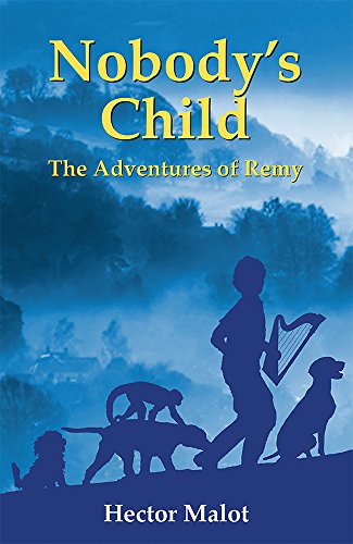 Nobody's Child: The Adventures of Remi book cover