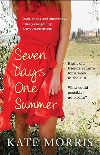 Seven Days One Summer book cover