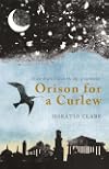 Orison for a Curlew: In search for a bird on the edge of extinction