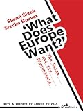 What Does Europe Want The Union And Its Discontents
