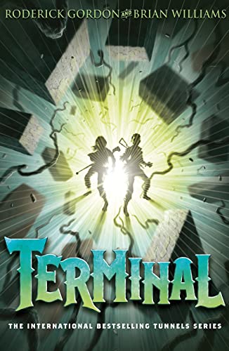 Terminal book cover