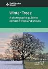 Winter Trees: a Photographic Guide to Common Trees and Shrubs