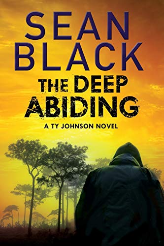 The Deep Abiding book cover