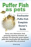Puffer Fish As Pets Freshwater Puffer Fish Facts Care Information Food Poisoning Aquarium Diseases All Included The Must Have Guide For All P