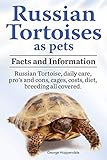 Russian Tortoises As Pets Russian Tortoise Facts And Information Daily Care Pros And Cons Cages Costs Diet Breeding All Covered