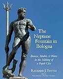 The Neptune Fountain in Bologna: Bronze, Marble, and Water in the Making of a Papal City (Vistas) (Vistas New Scholarship on Sculpture 1250-1780) (English, Italian and Latin Edition)
