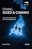 Diving Gozo Comino The Essential Guide To An Underwater Playground