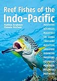 Reef Fishes Of The Indopacific