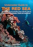 Underwater Guide To The Red Sea