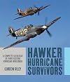 Hawker Hurricane Survivors