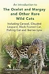 An introduction to The Ocelot and Margay and Other Rare Wild Cats Including Caracal, Clouded Leopard, Black Footed Cat, Fishing Cat and Iberian Lynx