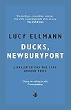 Ducks, Newburyport