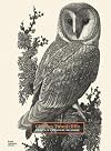 Charles Tunnicliffe: Prints, A Catalogue Raisonné
