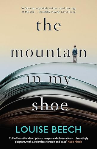 The Mountain in My Shoe book cover