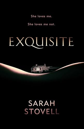 Exquisite book cover