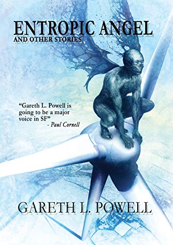 Entropic Angel book cover