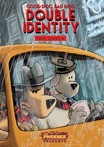Double Identity (By: Dave Shelton) cover