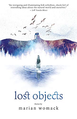 Lost Objects book cover