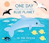 One Day On Our Blue Planet In The Ocean