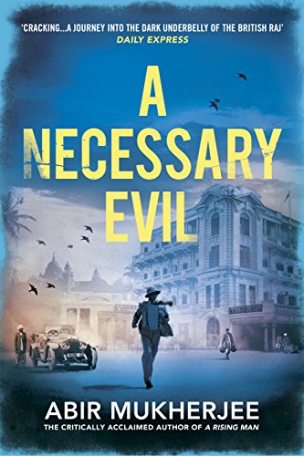 A Necessary Evil book cover
