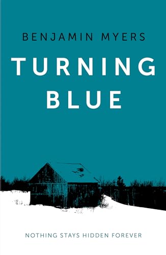 Turning Blue book cover