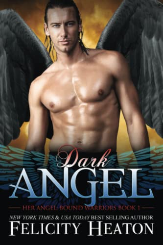 Dark Angel book cover