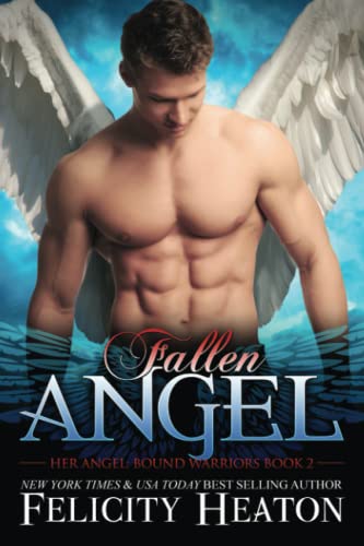Fallen Angel book cover