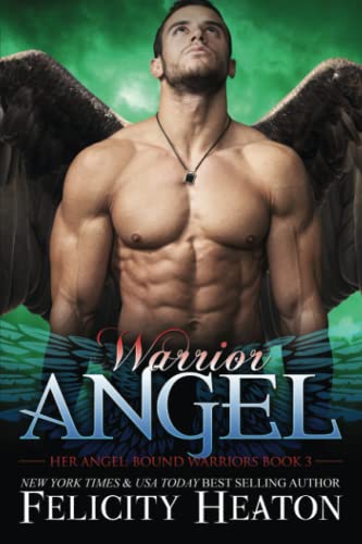 Warrior Angel book cover