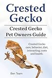 Crested Gecko Crested Gecko Pet Owners Guide Crested Gecko Care Behavior Diet Interacting Costs And Health