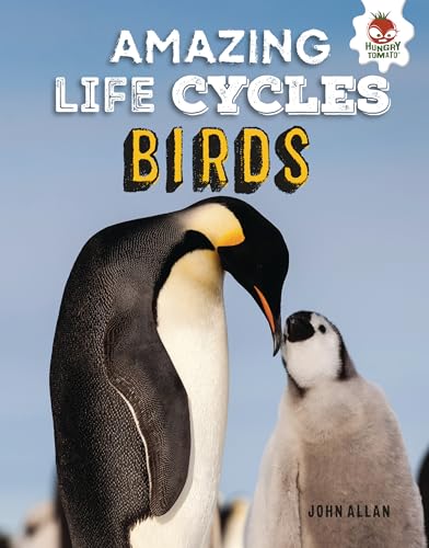Cover of Birds