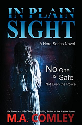 In Plain Sight book cover