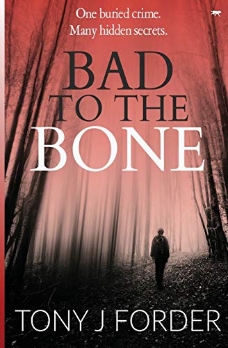 Bad to the Bone book cover