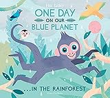One Day on Our Blue Planet: In the Rainforest
