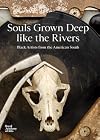 Souls Grown Deep like the Rivers: Black Artists from the American South