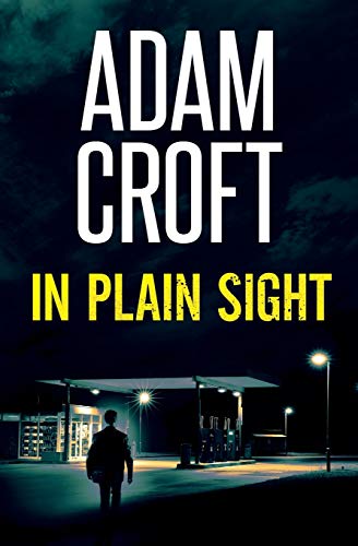 In Plain Sight book cover