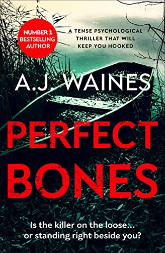 Perfect Bones book cover