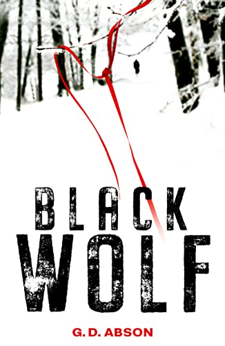 Black Wolf book cover
