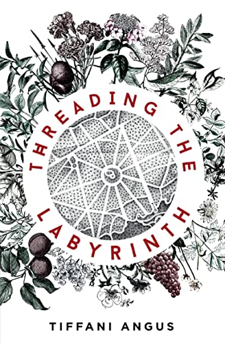Threading the Labyrinth cover