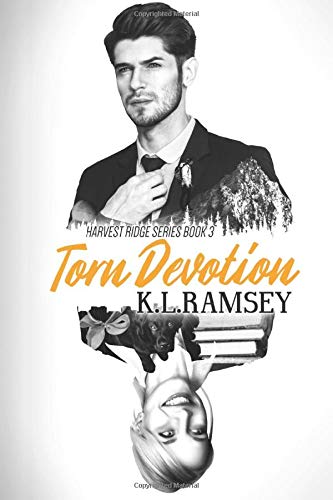 Torn Devotion book cover