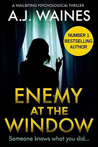 Enemy At The Window book cover