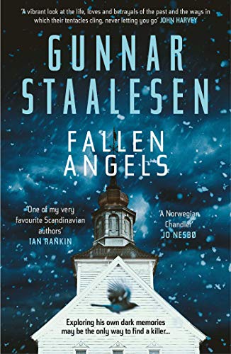 Fallen Angels book cover