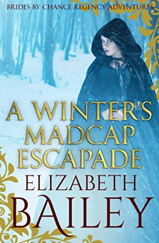 A Winter's Madcap Escapade book cover