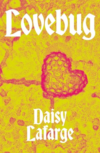 Lovebug book cover