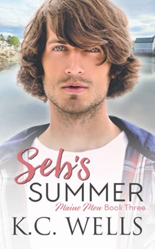 Seb's Summer book cover