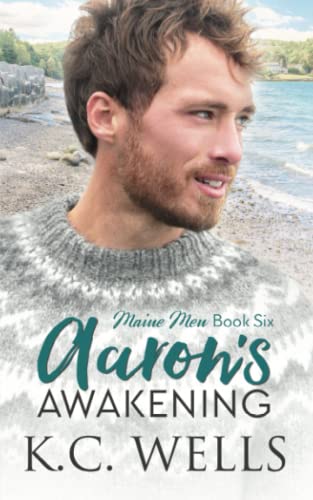 Aaron's Awakening book cover
