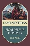 Lamentations: From Despair to Prayer (Hebrew Bible Monographs, 101)