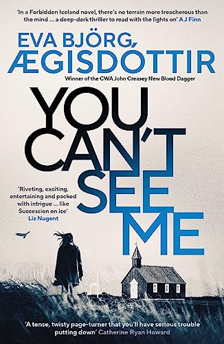 You Can't See Me book cover
